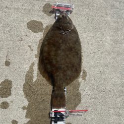 車中泊In都志港