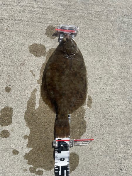 車中泊In都志港