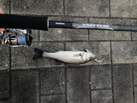 入魂出来ました