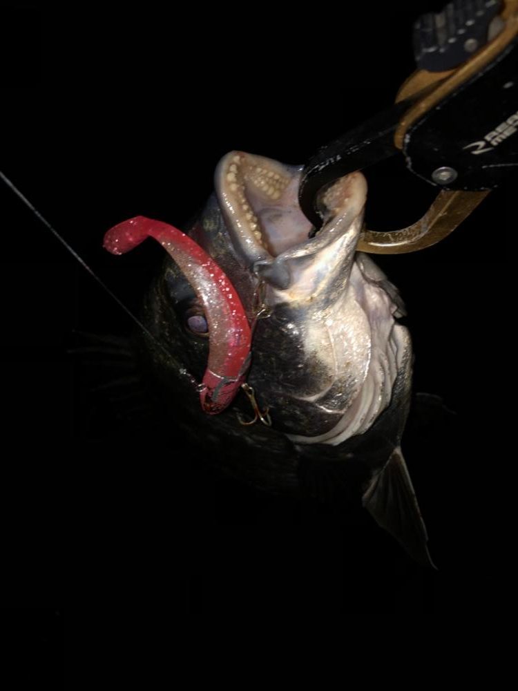 あたりはあるが