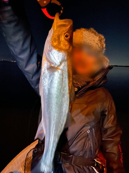 難しかったボートシーバス