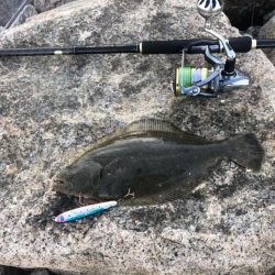 激熱コノシロパターン