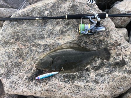 激熱コノシロパターン