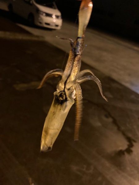 なかなか釣れない