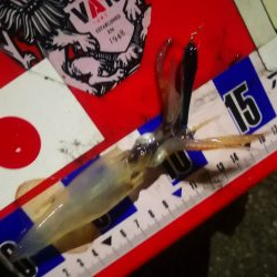 アジング練習369 ライトエギング