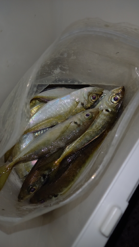 病院が早く終わったので…