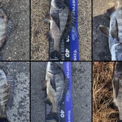 イチノ兄弟、釣果！