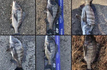 イチノ兄弟、釣果！