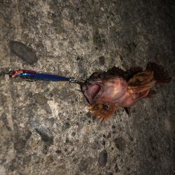 100均ルアーが釣れる理由