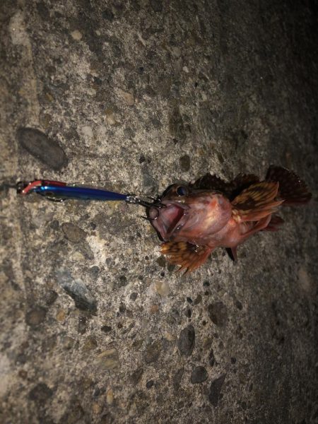 100均ルアーが釣れる理由