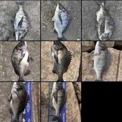 イチノ兄弟、釣果!