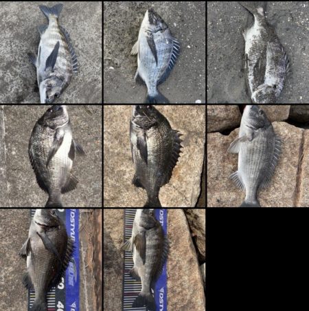 イチノ兄弟、釣果!