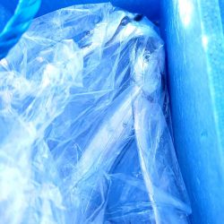 年明け初釣りでボウズ逃れ