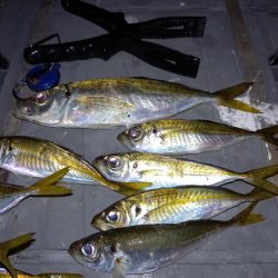 一年に一回は長島へ