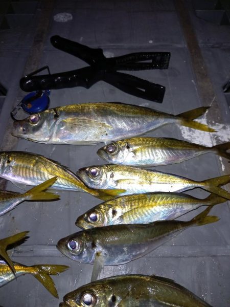 一年に一回は長島へ