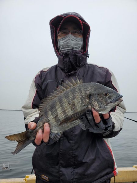 フカセデビュー