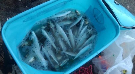 新年釣り始め！！