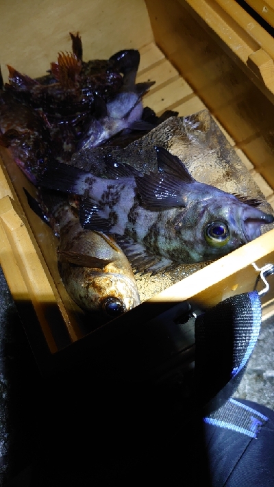 2022年淡路島にて初釣り