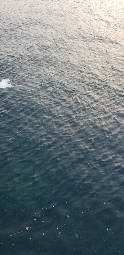 釣り初め　アジング