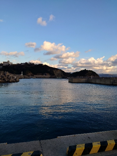 コウイカ狙いで