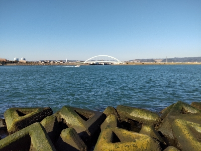 サーベリング？