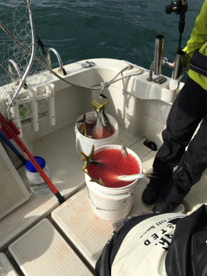 元旦初釣り!活性高し!!