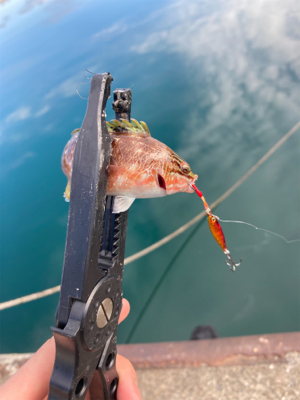 元旦ライトゲーム