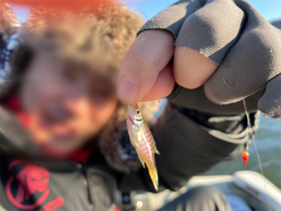 釣り始め！ワカサギ釣り