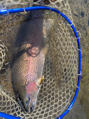 黒保根渓流フィシング