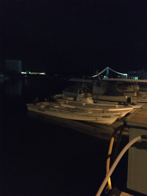 ガシラ元気でした!