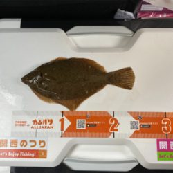 カレイ釣り