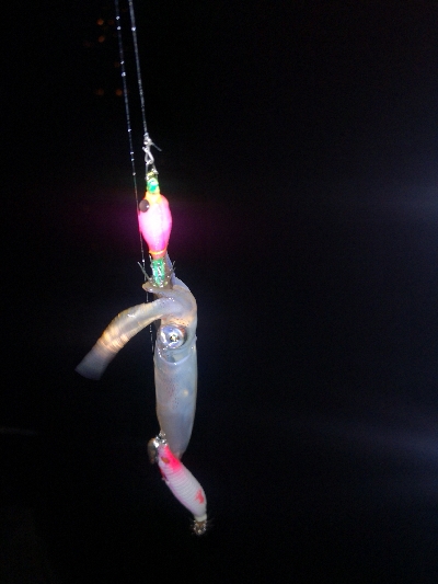 アジング練習364 ライトエギング