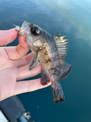 デイメバリング