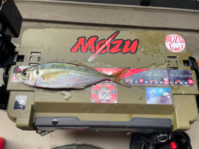 前日激渋からのぉ〜