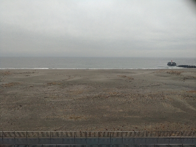 青物不在につき