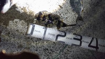 1/8釣果　良い天気