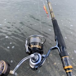 2022年サクラマス　ワイルドボーイ28g  ジグミノー