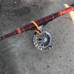 ヘチ釣りでチヌGET