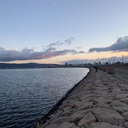 今年初釣りでブリ！！