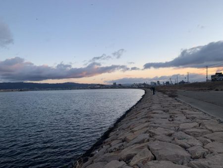 今年初釣りでブリ！！