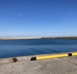 オフショアジギング