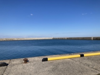 オフショアジギング