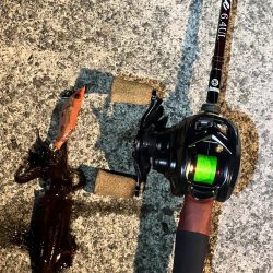 まだ行けるヒイカ釣り!!