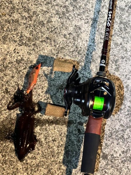 まだ行けるヒイカ釣り!!