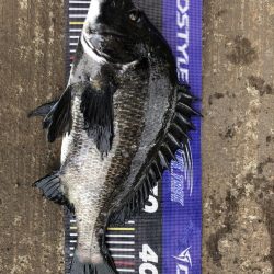 イチノ兄弟、釣果！