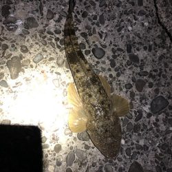 新規開拓からのやっぱりホーム