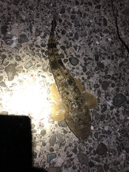 新規開拓からのやっぱりホーム