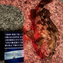 ガシリング 自己記録更新