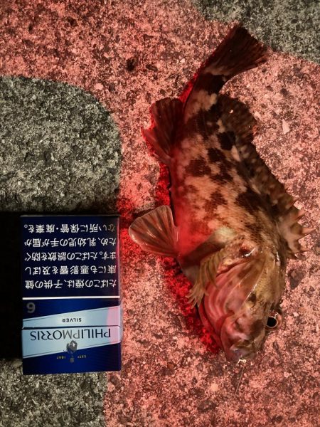 ガシリング 自己記録更新