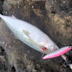 ショアプラッキング